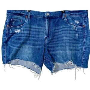 EUC BLANKNYC Denim Shorts (The‎ Astor) - size 22W